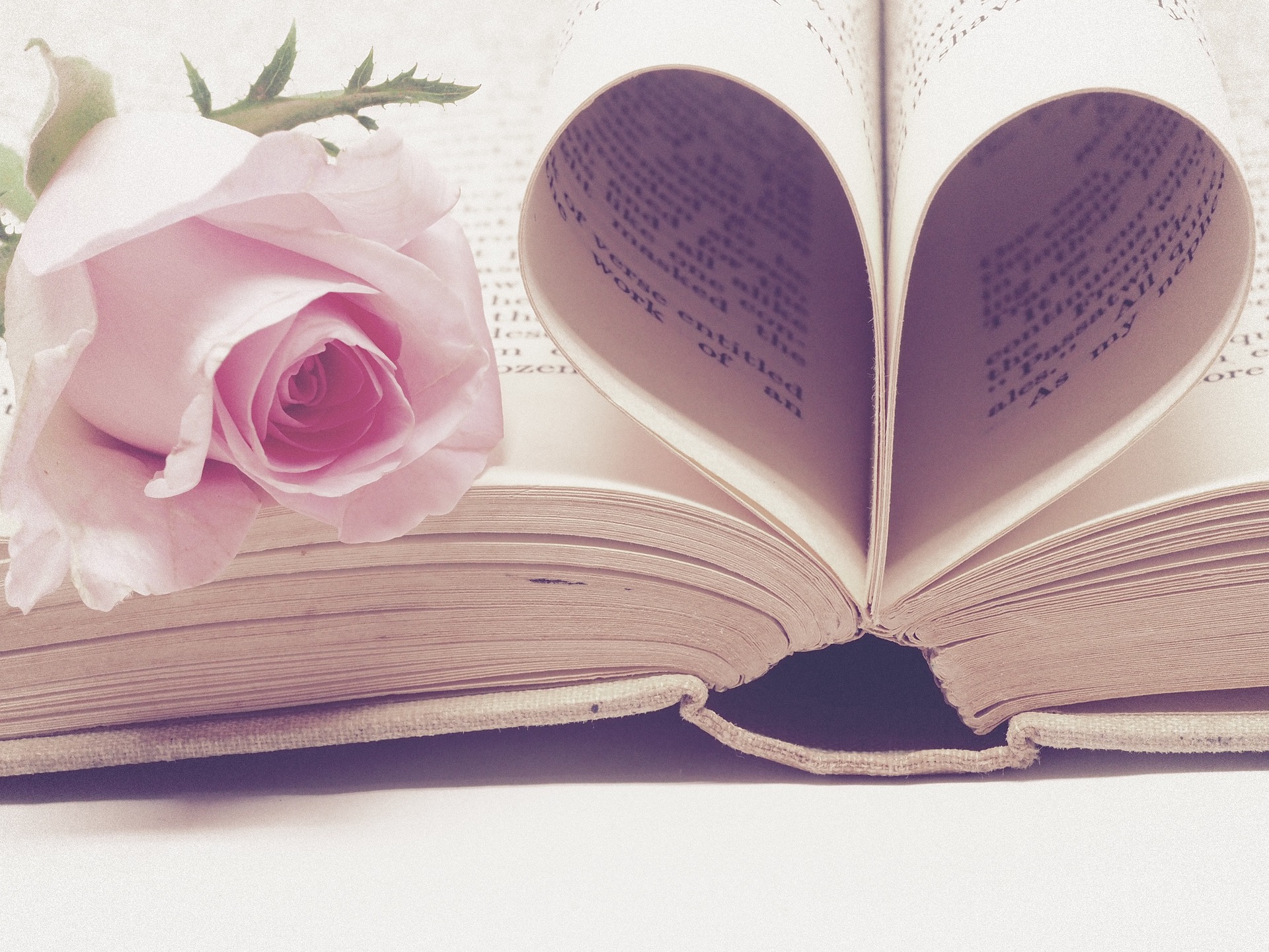 A book with pages folded to make a heart shape and a pink rose.